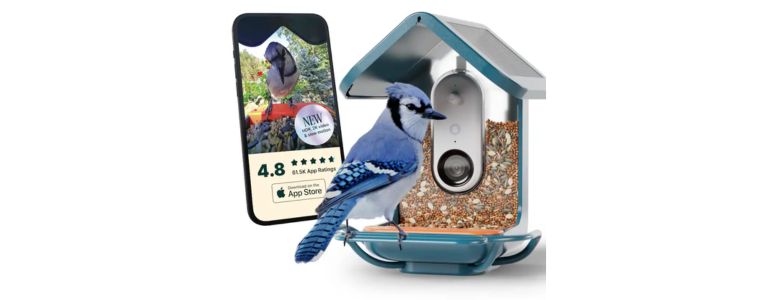 BirdBuddy Smart Bird Feeder