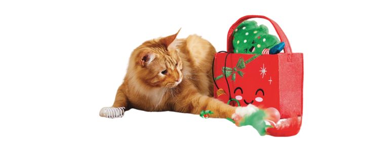 Frisco Holiday Brr Basket Variety Pack Cat Toy