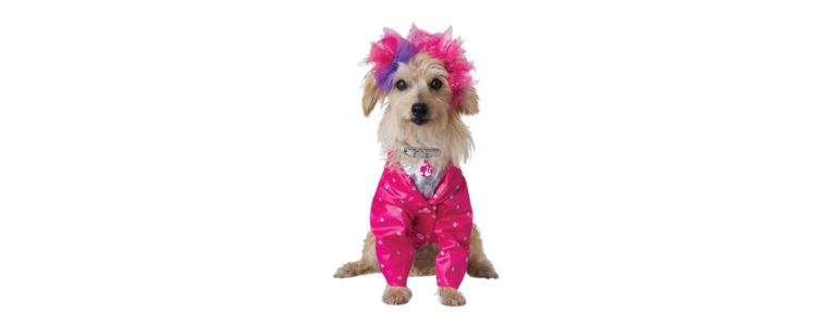 dog in pink Barbie theme costume