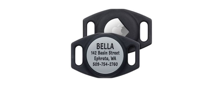 pet collar with air tag holder