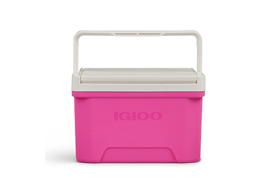 Igloo 9 Qt Chest Cooler Freebie