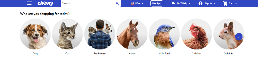 Chewy Homepage