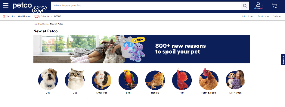 Petco New & Trending Page