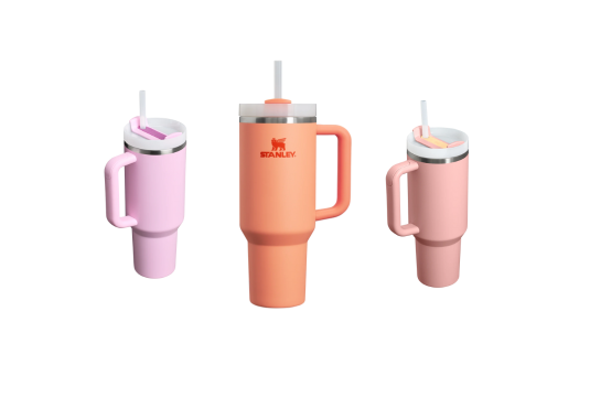 Stanley Quencher Flowstate Tumbler $35 Reward