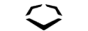 EvoShield logo