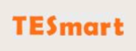 TESmart Logo